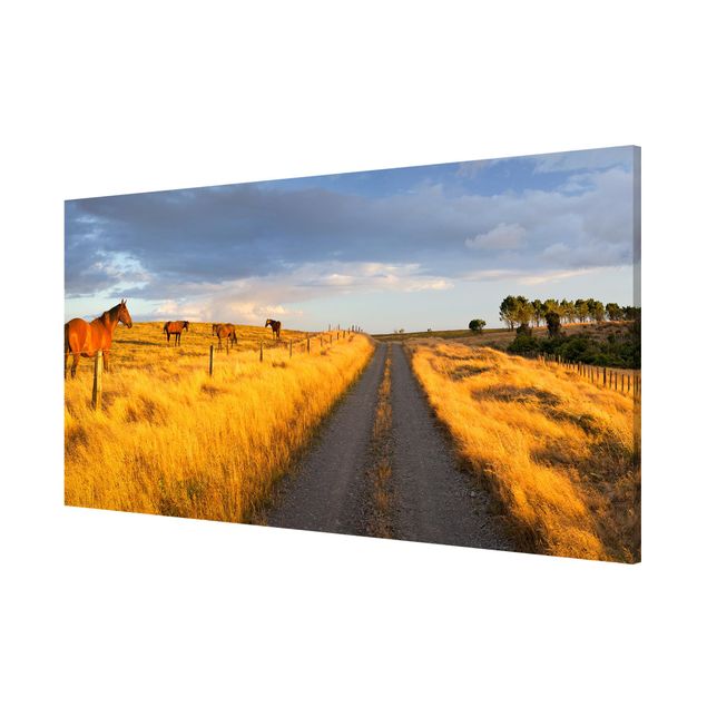 Magnetic memo board - Field Road And Horse In Evening Sun