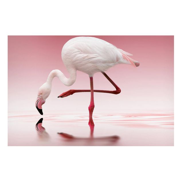 Magnetic memo board - Flamingo Dance