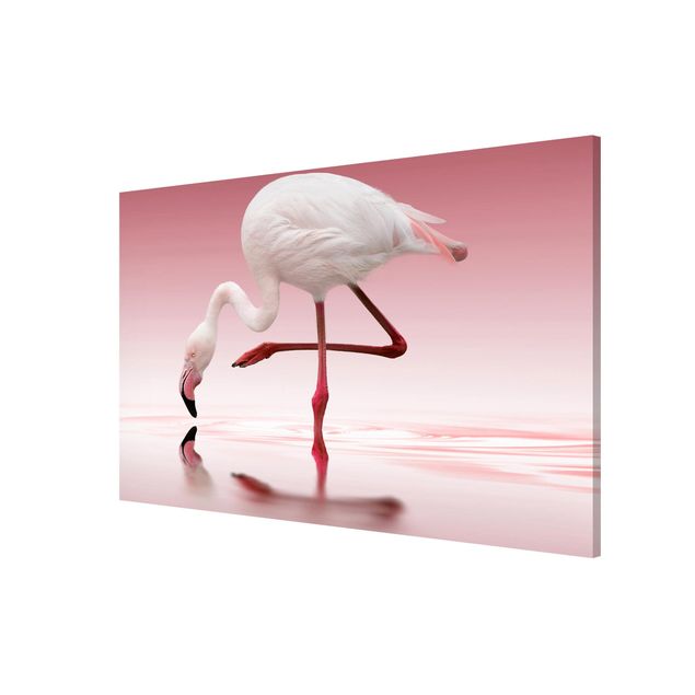 Magnetic memo board - Flamingo Dance