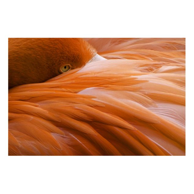 Magnetic memo board - Flamingo Feathers