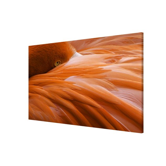 Magnetic memo board - Flamingo Feathers