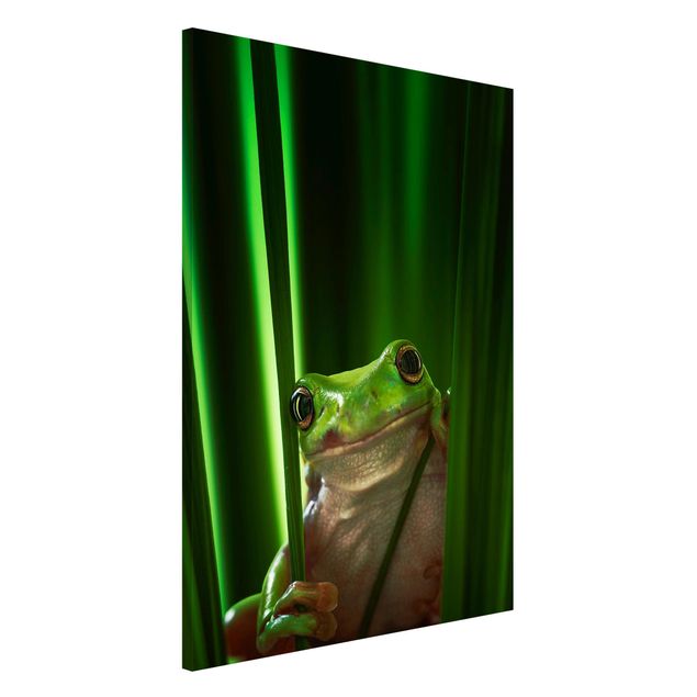 Magnetic memo board - Merry Frog