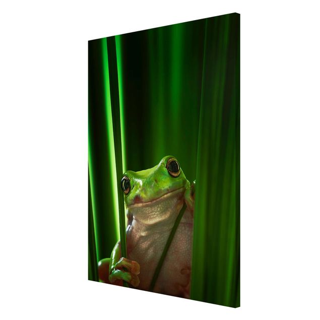 Magnetic memo board - Merry Frog