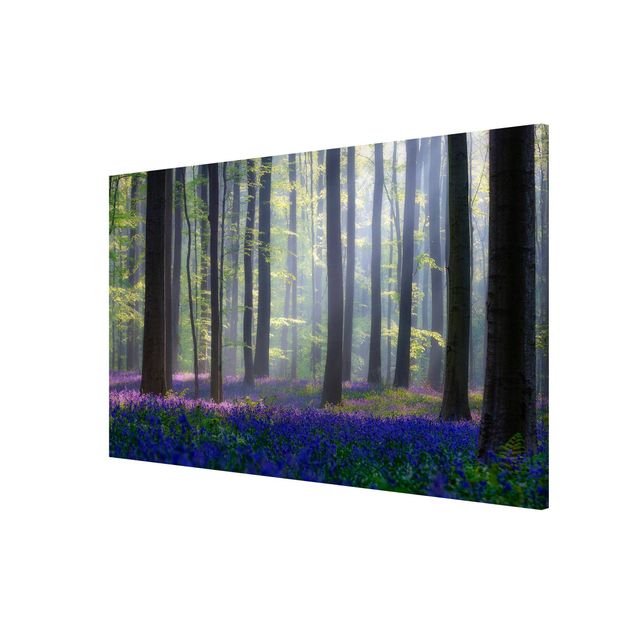 Magnetic memo board - Spring Day In The Forest
