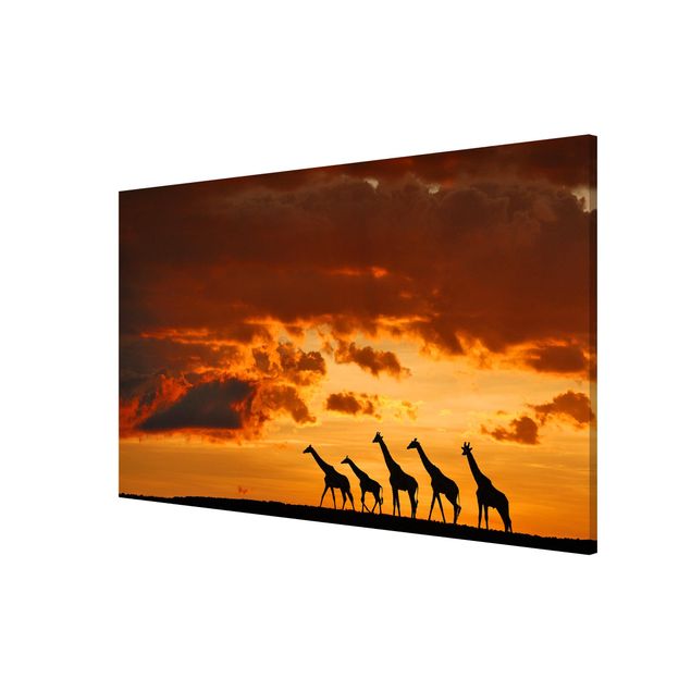 Magnetic memo board - Five Giraffes