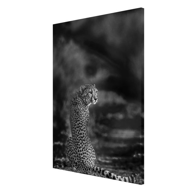 Magnetic memo board - Cheetah In The Wildness