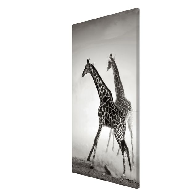 Magnetic memo board - Giraffe Hunt