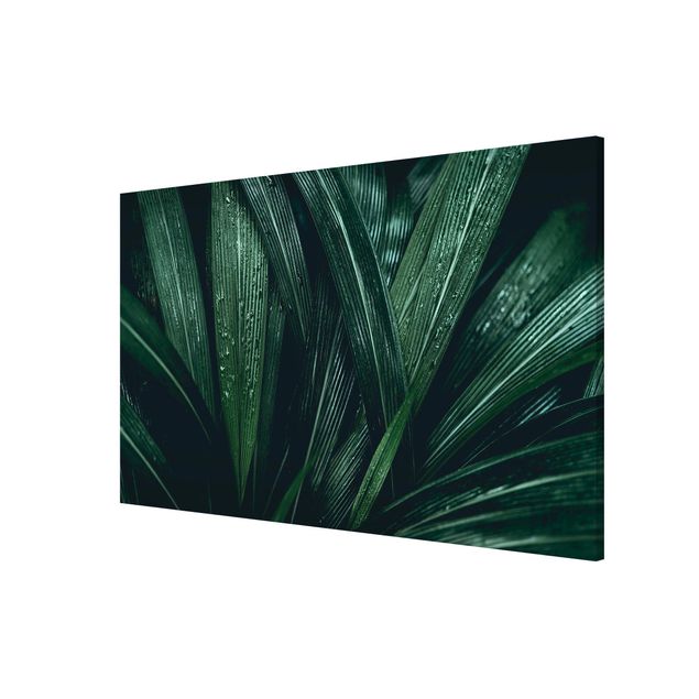 Magnetic memo board - Green Palm Leaves