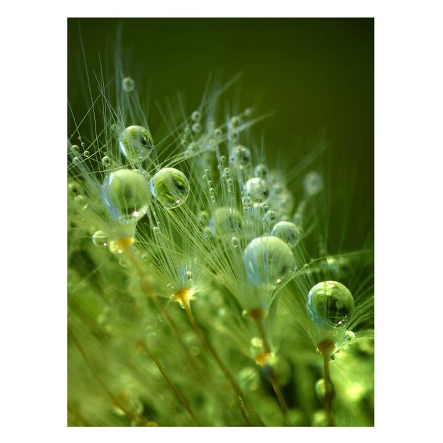 Magnetic memo board - Green Seeds In The Rain