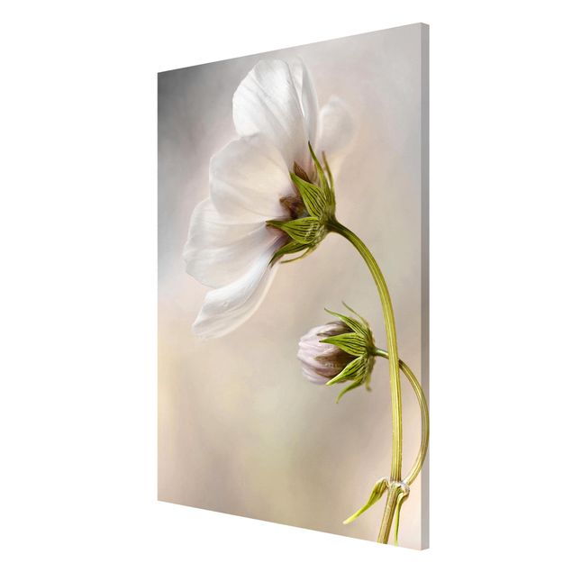 Magnetic memo board - Heavenly Flower Dream