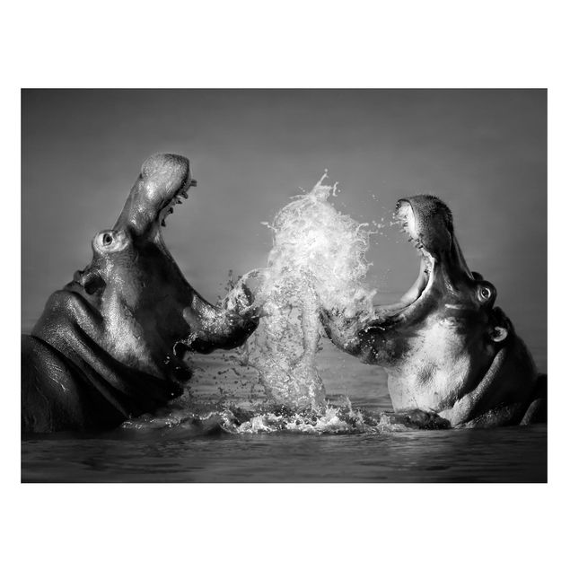 Magnetic memo board - Hippo Fight