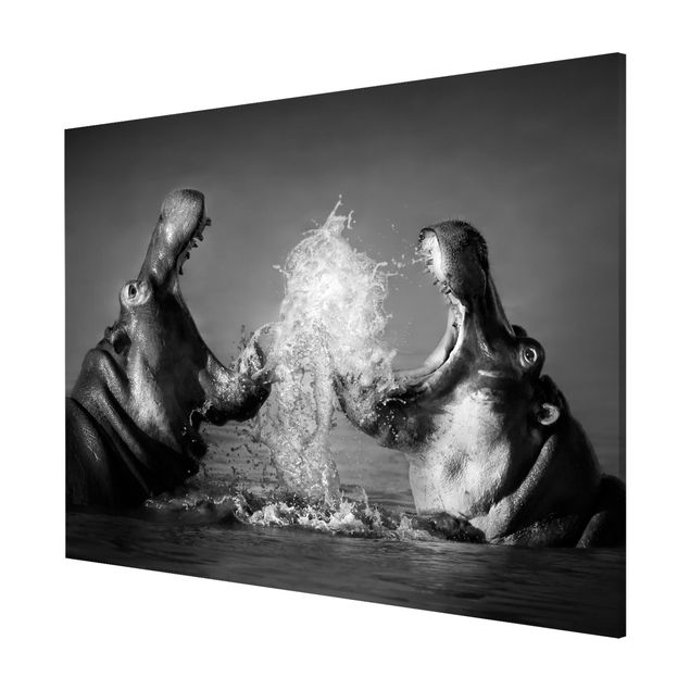 Magnetic memo board - Hippo Fight