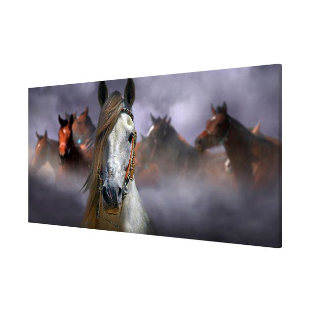 Magnetic memo board - Horses in the Dust