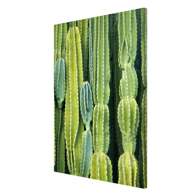 Magnetic memo board - Cactus Wall