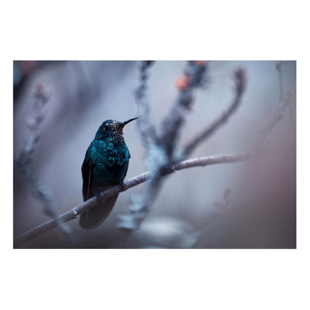 Magnetic memo board - Hummingbird In Winter