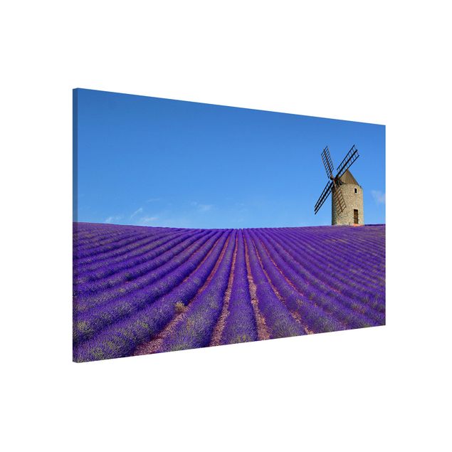 Magnetic memo board - Lavender Scent In The Provence