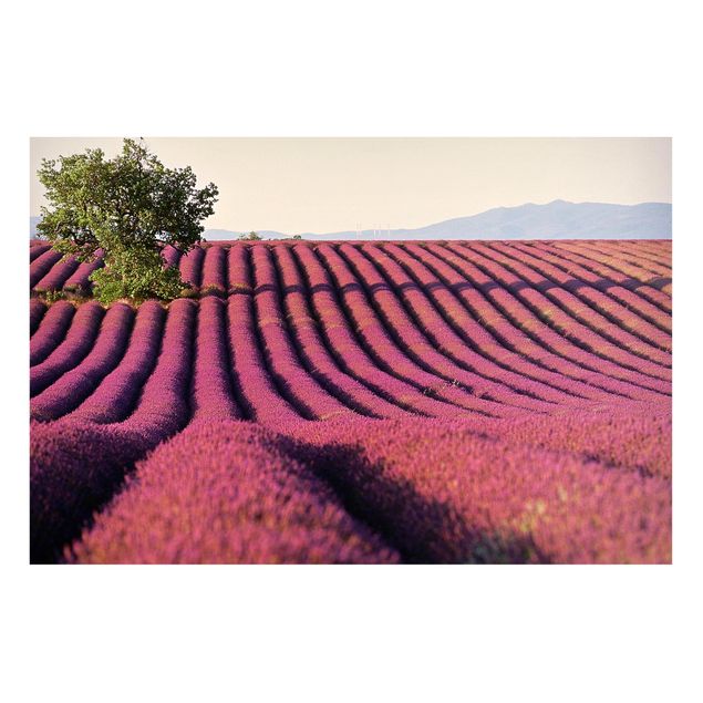 Magnetic memo board - Lavender