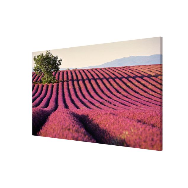 Magnetic memo board - Lavender
