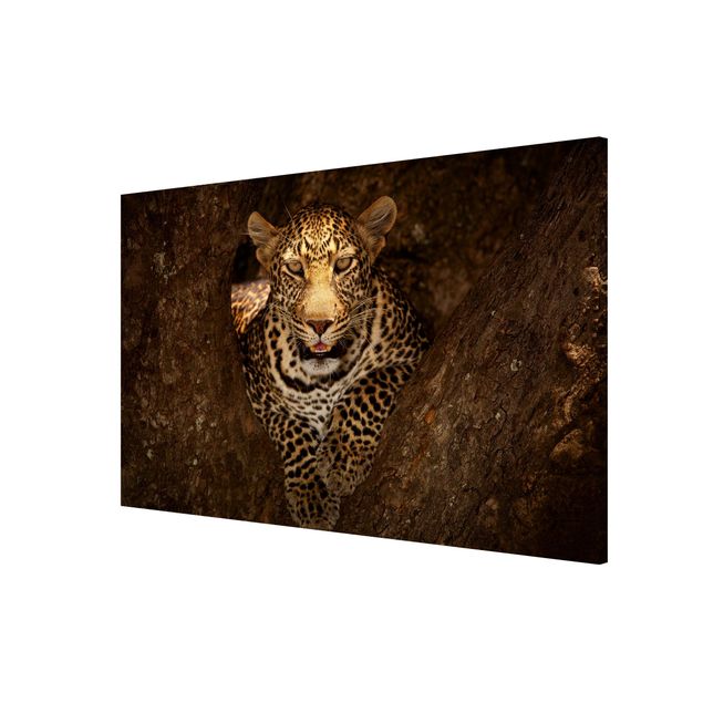 Magnetic memo board - Leopard Resting On A Tree