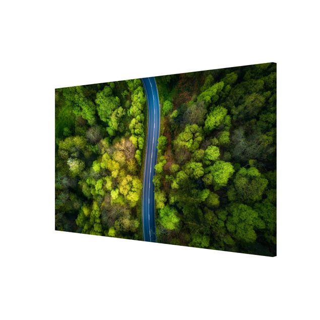 Magnetic memo board - Aerial View - Asphalt Road In The Forest