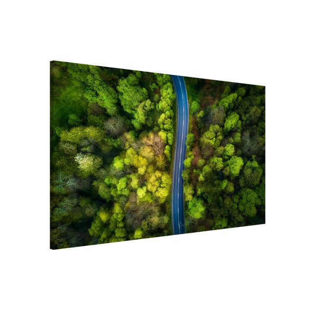 Magnetic memo board - Aerial View - Asphalt Road In The Forest