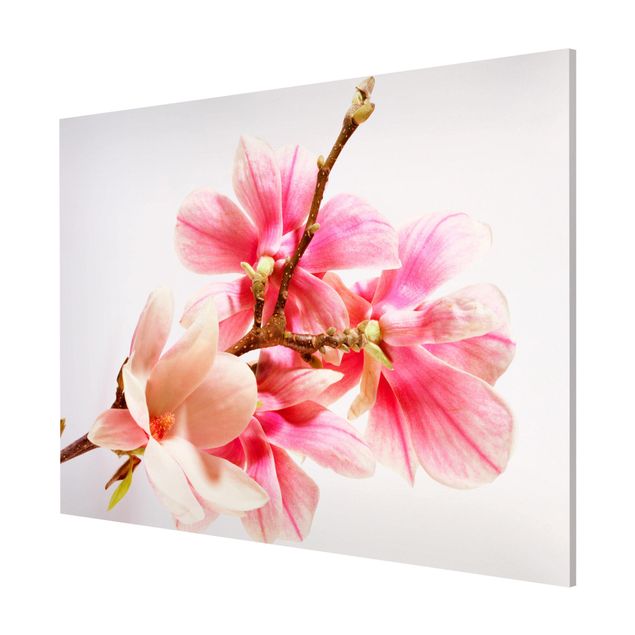Magnetic memo board - Magnolia Blossoms