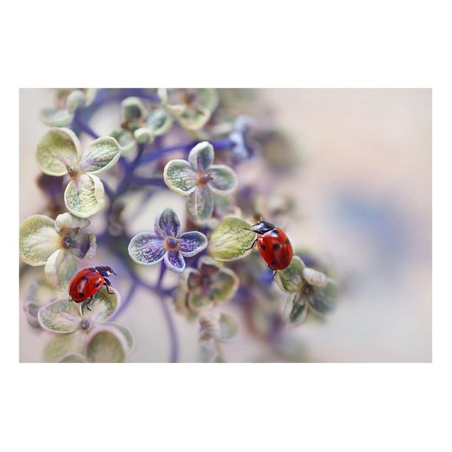 Magnetic memo board - Ladybird In The Garden