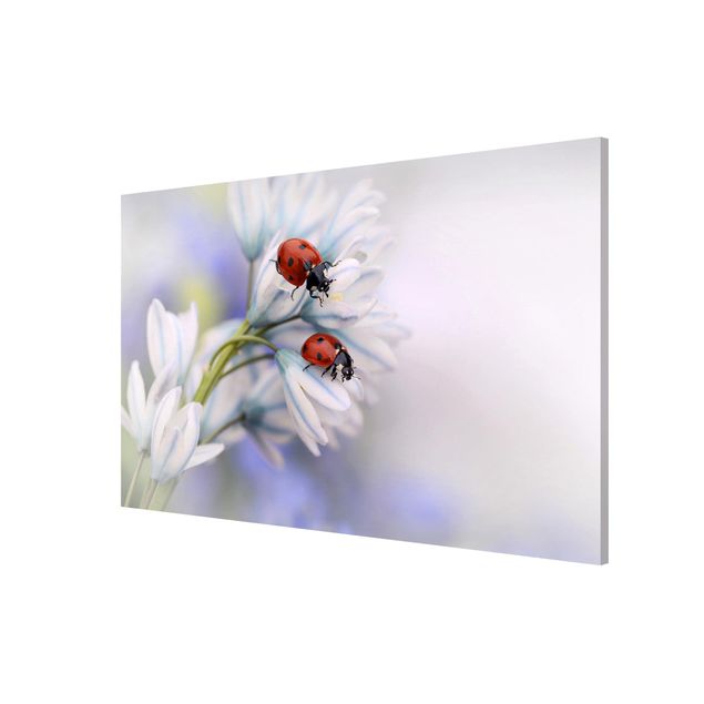 Magnetic memo board - Ladybird Couple