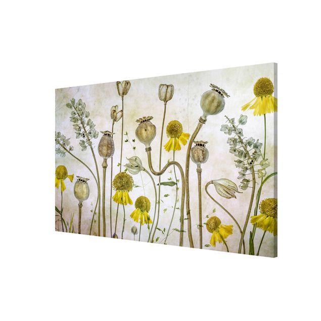 Magnetic memo board - Poppy And Helenium