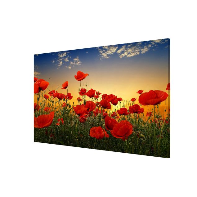 Magnetic memo board - Poppy Field In Sunset