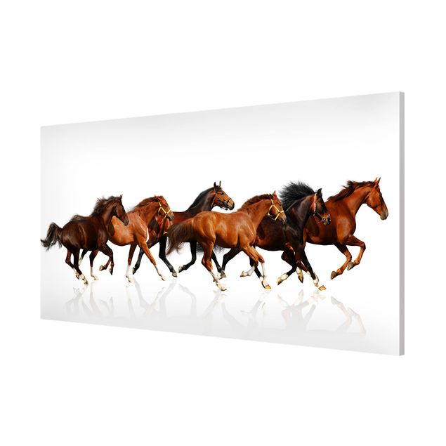 Magnetic memo board - Horse Herd