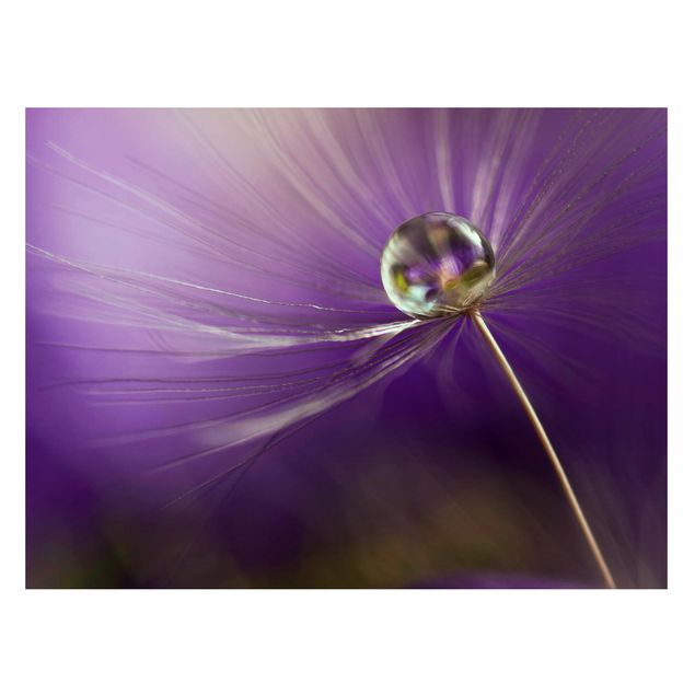 Magnetic memo board - Dandelion In Violet