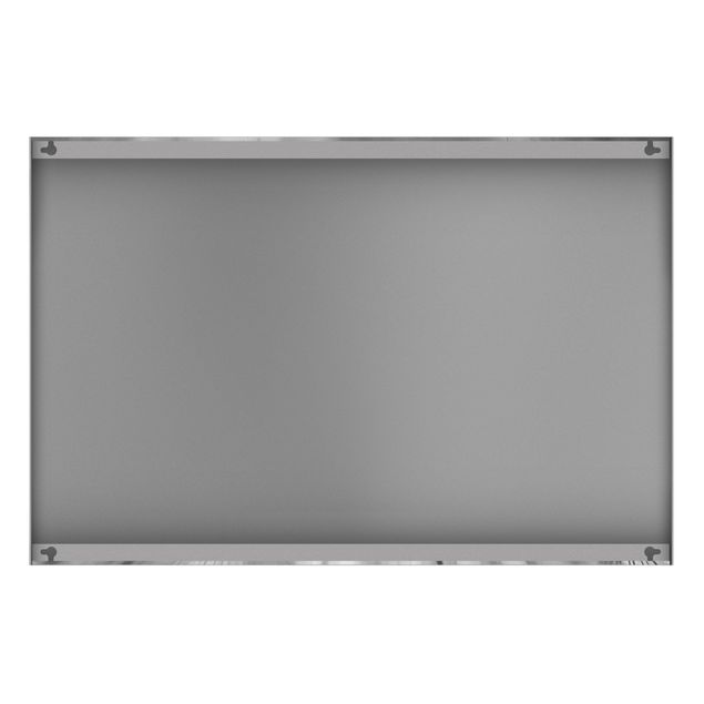 Magnetic memo board - Dandelions Macro Shot In Black And White