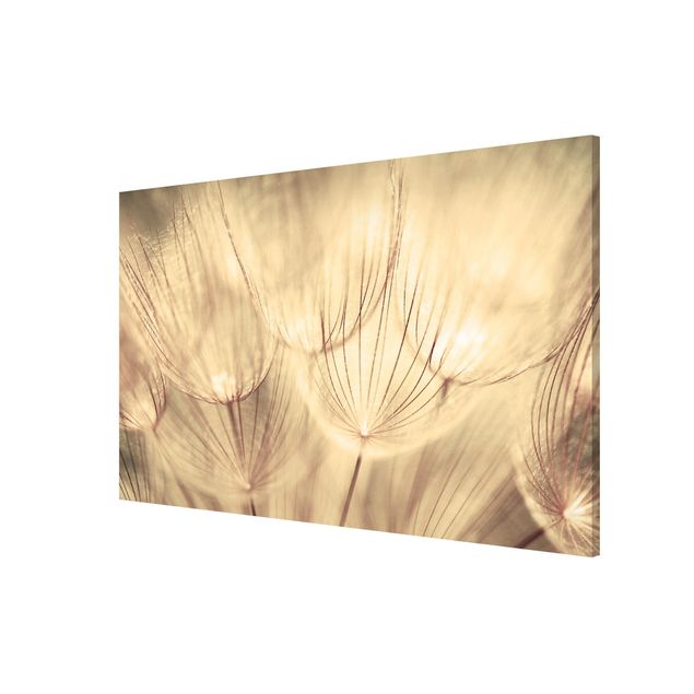 Magnetic memo board - Dandelions Close-Up In Cozy Sepia Tones