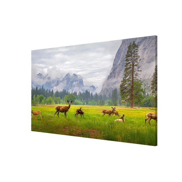 Magnetic memo board - Deer In The Mountains