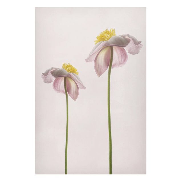Magnetic memo board - Pink Anemone Blossoms