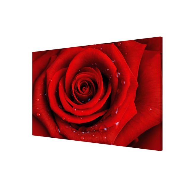 Magnetic memo board - Red Rose With Water Drops