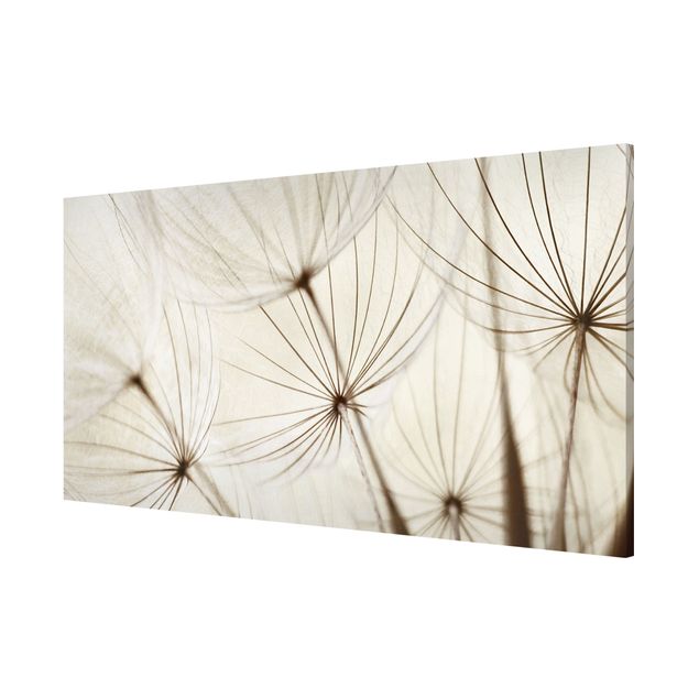 Magnetic memo board - Gentle Grasses