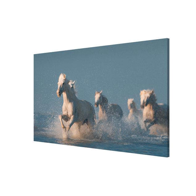 Magnetic memo board - Herd Of White Horses