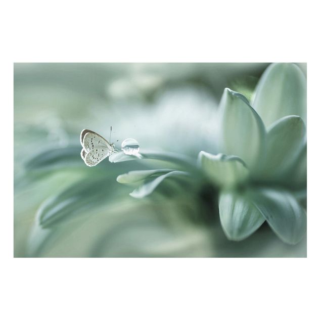 Magnetic memo board - Butterfly And Dew Drops In Pastel Green