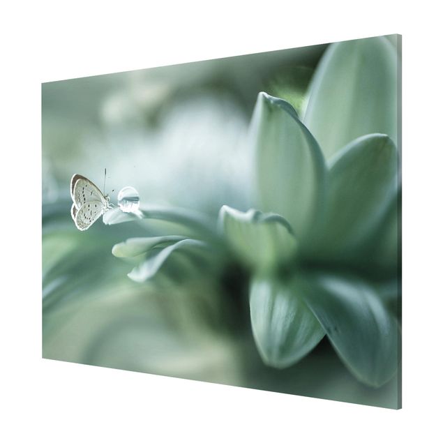 Magnetic memo board - Butterfly And Dew Drops In Pastel Green