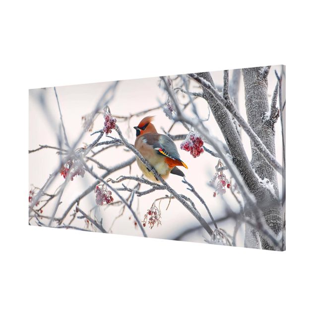Magnetic memo board - Waxwing on a Tree