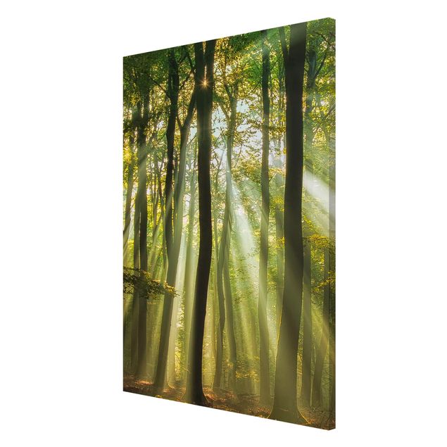 Magnetic memo board - Sunny Day In The Forest