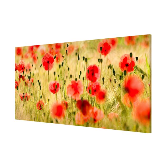 Magnetic memo board - Summer Poppies