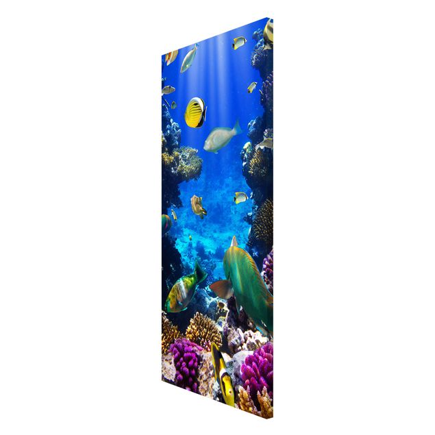Magnetic memo board - Underwater Dreams
