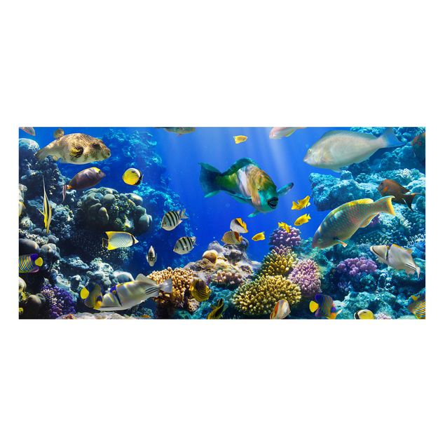 Magnetic memo board - Underwater Reef