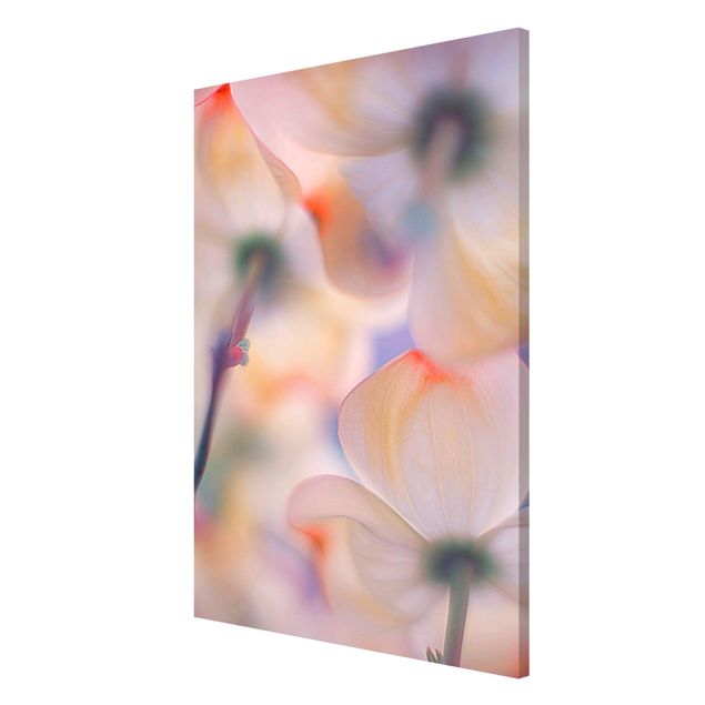 Magnetic memo board - Below Flowers