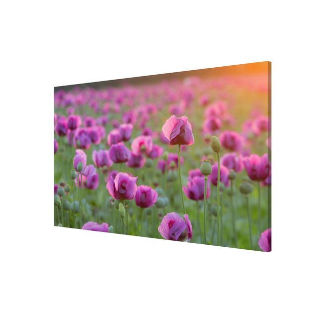 Magnetic memo board - Purple Poppy Flower Meadow In Spring