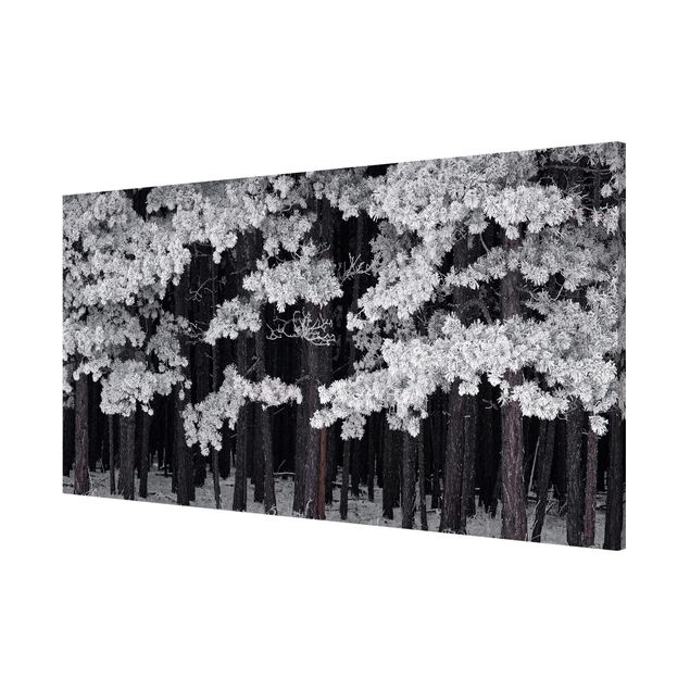 Magnetic memo board - Forest With Hoarfrost In Austria