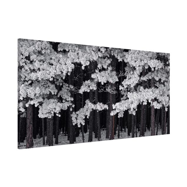 Magnetic memo board - Forest With Hoarfrost In Austria